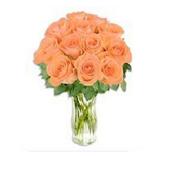 日本12 Orange Roses with Vase